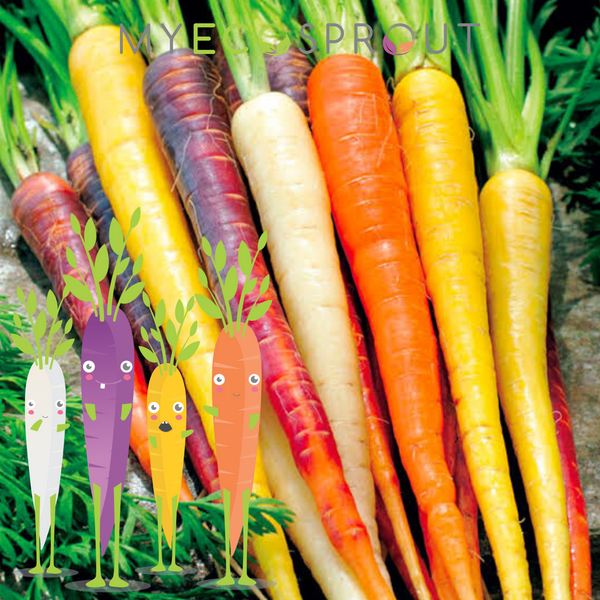 Crazy Colourful Carrot Seeds