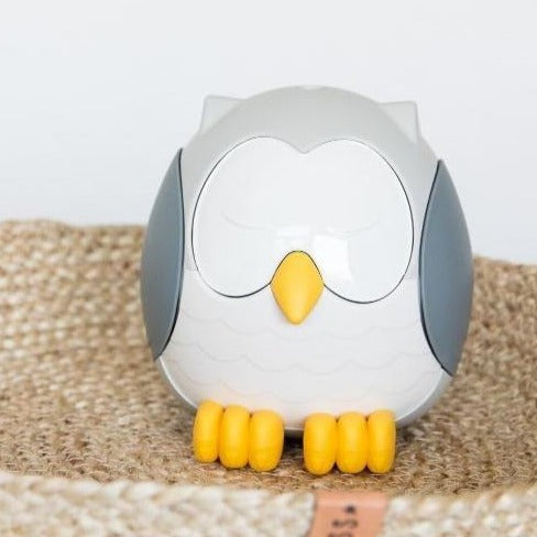 School Bundle & Feather The Owl Diffuser ( Cool Mist Humidifier | White Noise Machine | Night Light)