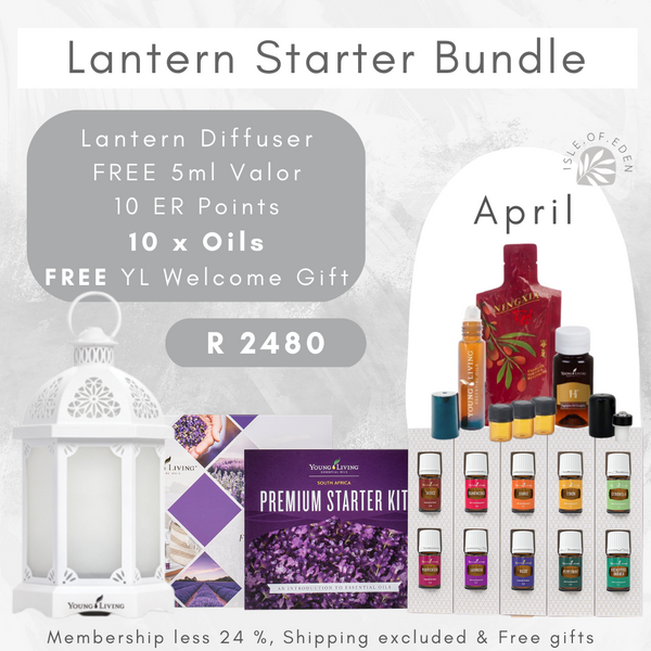 Premium Starter Bundle - Lantern