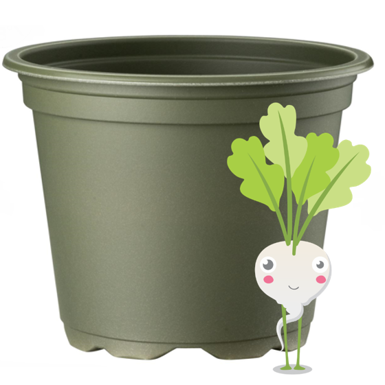 Bio-based Pot