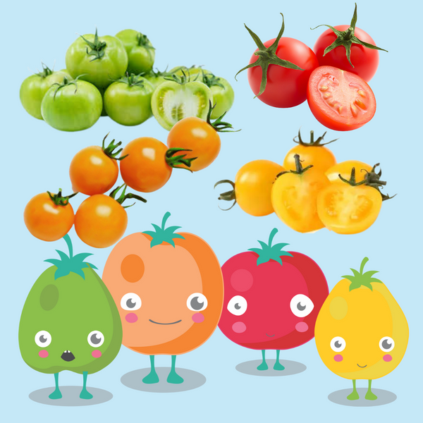 Cherry Tomatoes Variety Pack