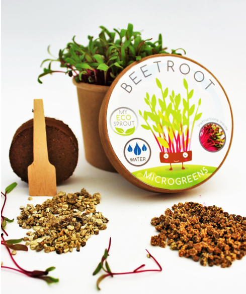 Beetroot Microgreen Kit